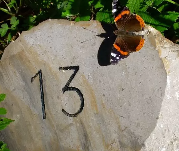 bagaimana-intuisi-berperan-dalam-menentukan-nomor-togel