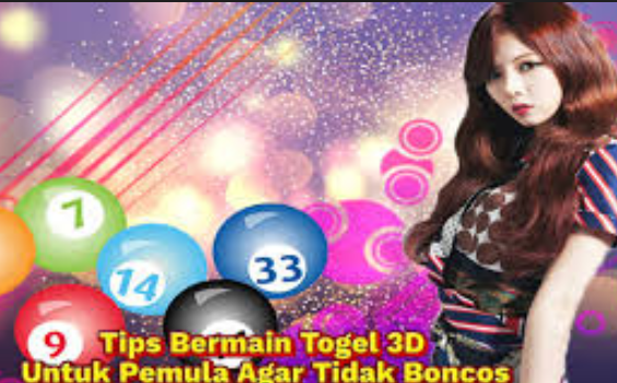 tips-menyusun-prediksi-togel-mingguan-lebih-terarah